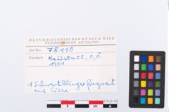Foto von Eisenschwert (NHMW-PRAE-078110)